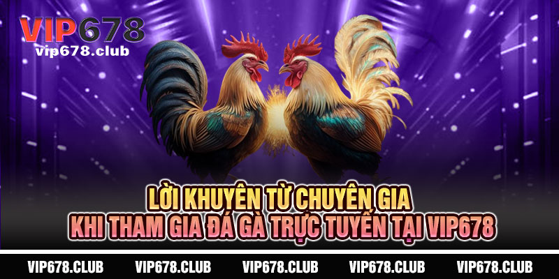 Đá Gà VIP678 - Sát phạt đỉnh cao, thắng lớn vang dội 4 Lời Khuyên Từ Chuyên Gia Khi Tham Gia Đá Gà Trực Tuyến Tại VIP678